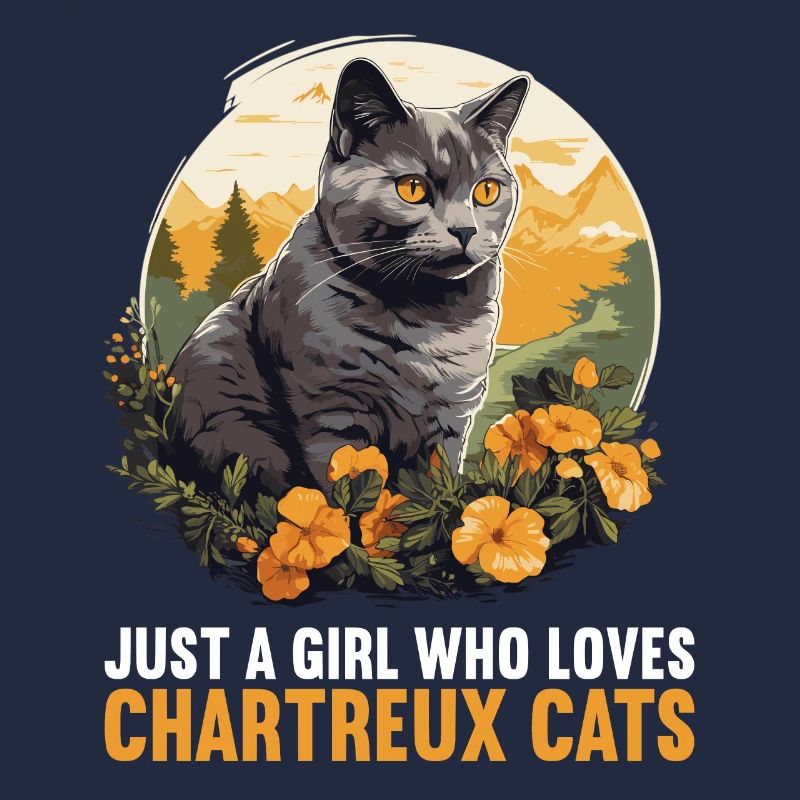 Chat Chartreux Chat Chartreux