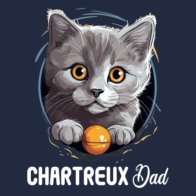 Chat Chartreux Chat Chartreux