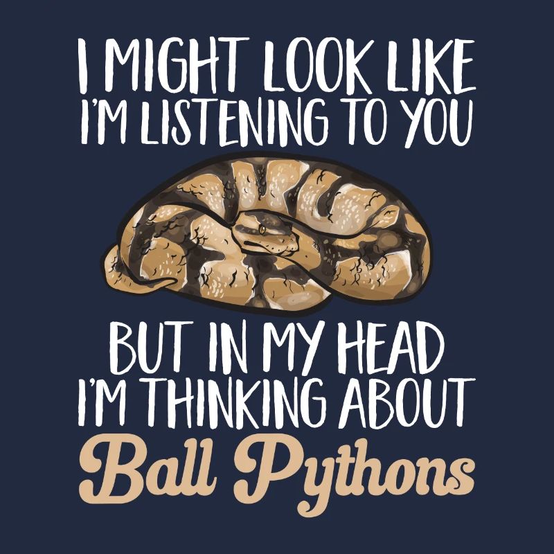 Ball Python Schlange Königspython