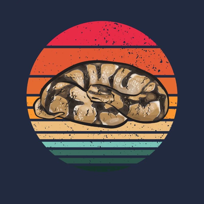 Ball Python Schlange Königspython