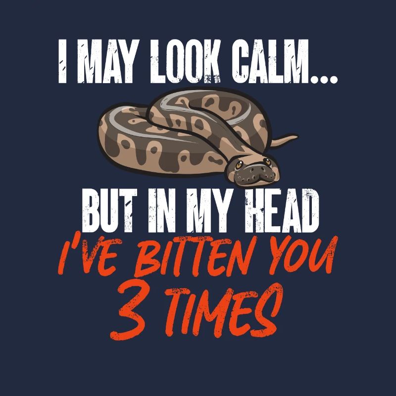 Ball Python Schlange Königspython