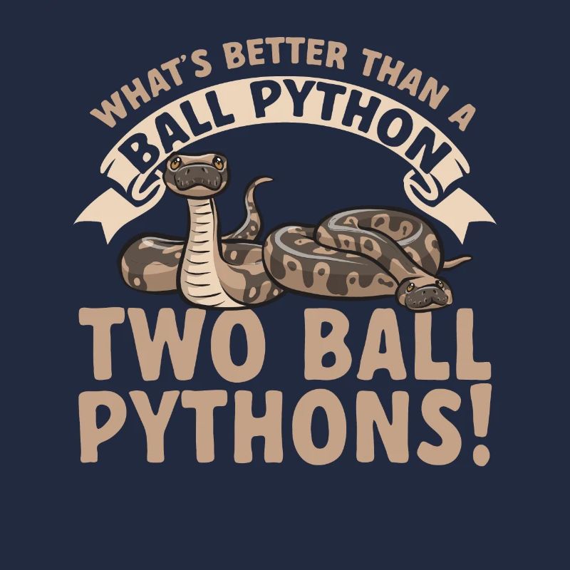 Ball Python Schlange Königspython