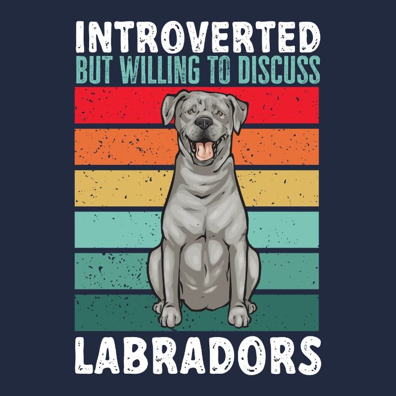 Silver Labrador Retriever Silver Lab