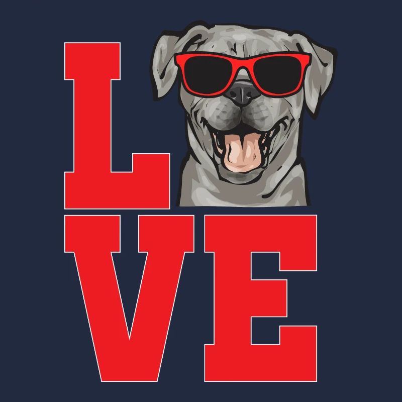 Silver Labrador Retriever Silver Lab