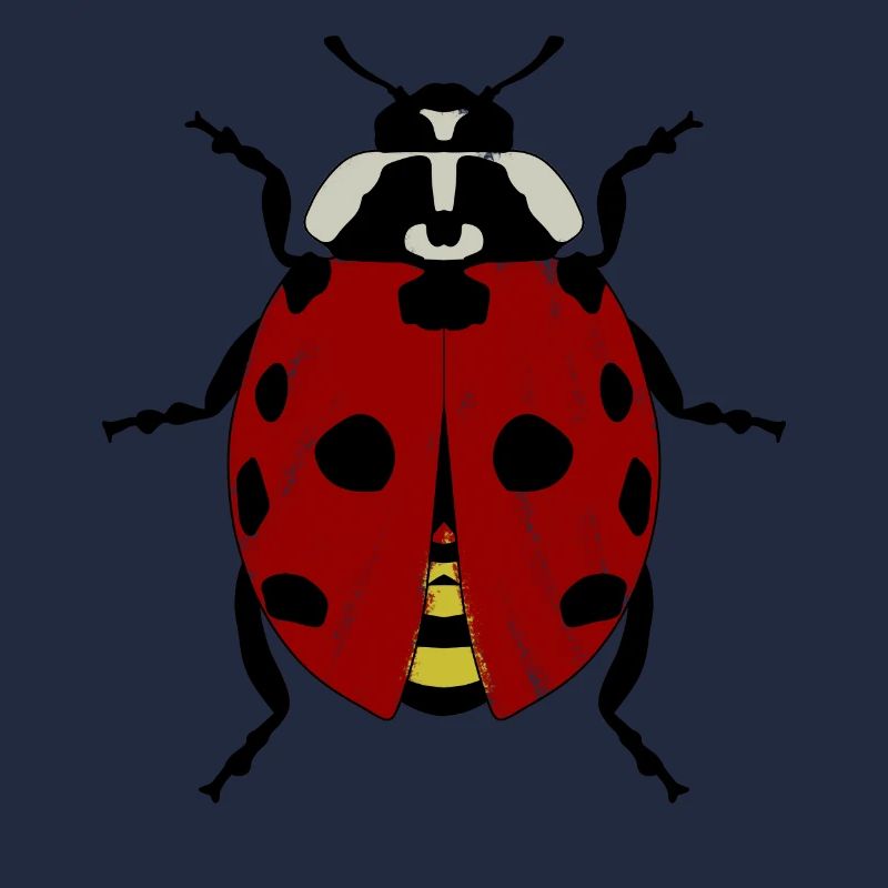 Ladybug Ladybugs