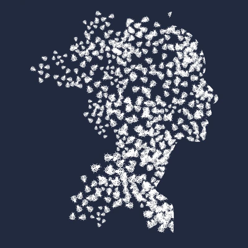 Ladybug Lady with Ladybugs