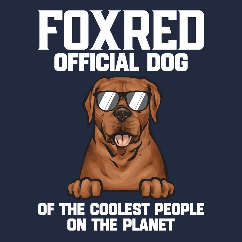 Fuchsroter Labrador Retriever Fox Labrador rouge