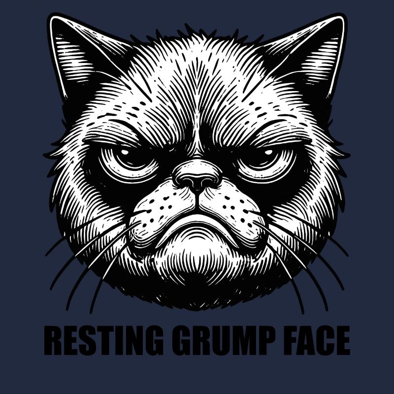 Resting Grump Face cat grumpy FaceHumor Sarcastic