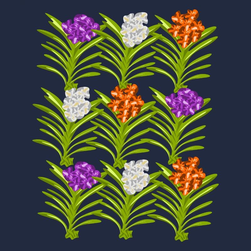 Orchidées Phalaenopsis Fleurs Orchidée