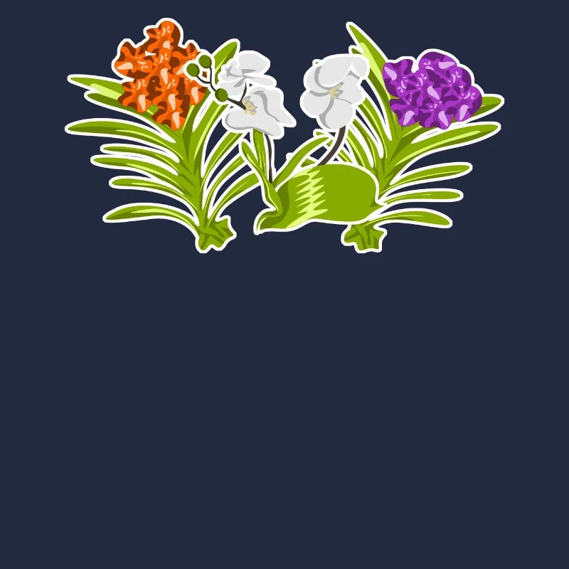 Orchidée Orchidées Fleurs