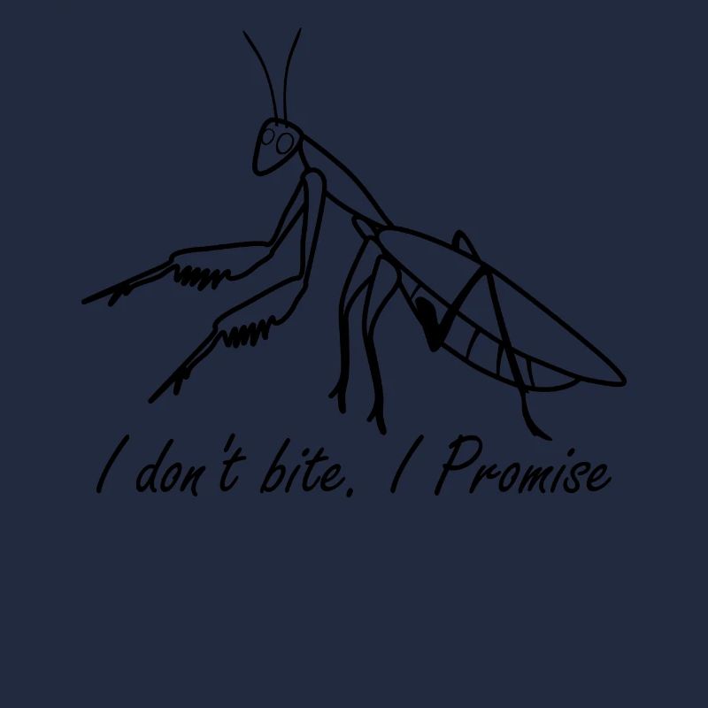 Funny Praying Mantis