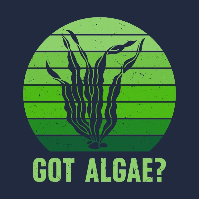 Algues