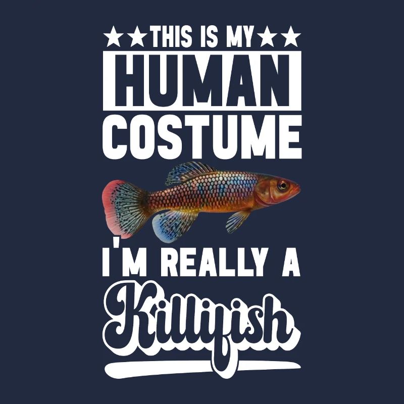 Killifish Quarium Fish