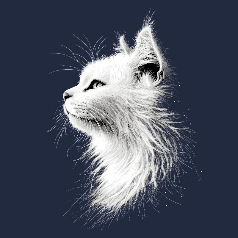 Chat Angora Blanc Chat Angora Chats Angora Mignons