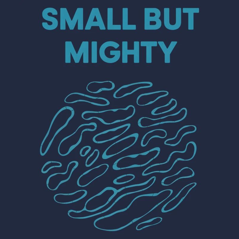 Small But Mighty Bold Design