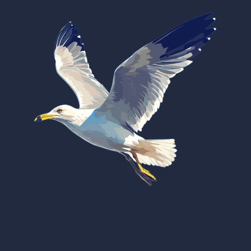 Möwen Möwe