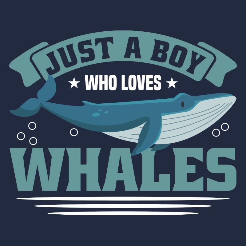 Observation des baleines Observation des baleines Orques Bleu Baleine