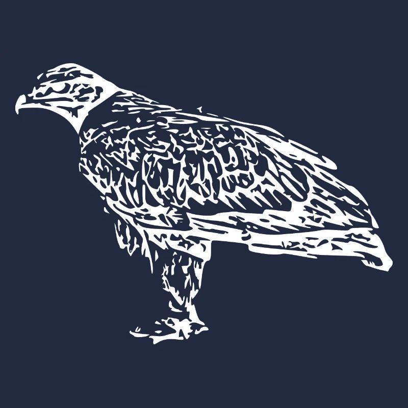 Faucons Oiseaux Oiseaux