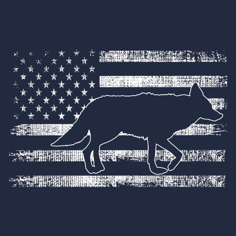 Conception de coyote pour les réacteurs de coyote