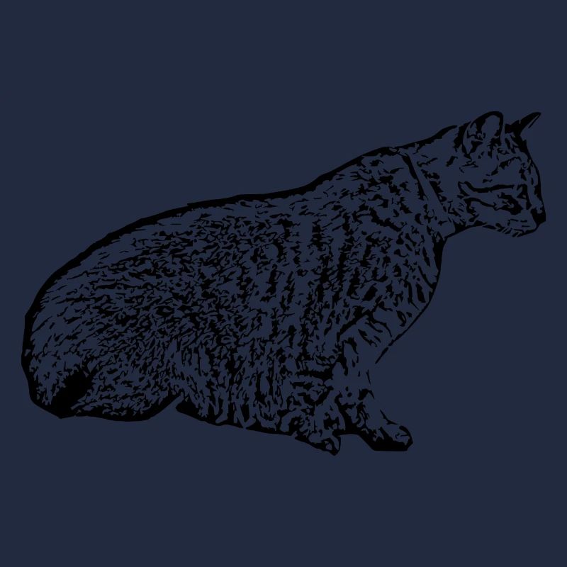 chat noir chat chaton chat domestique cadeau