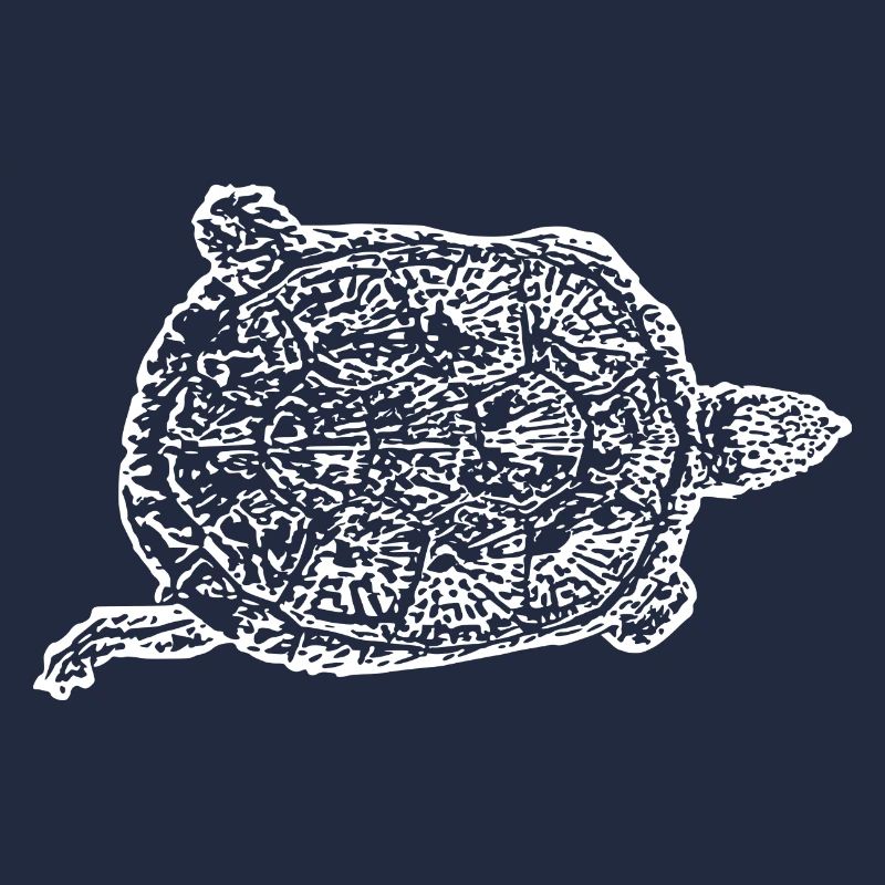 Turtle Turtles