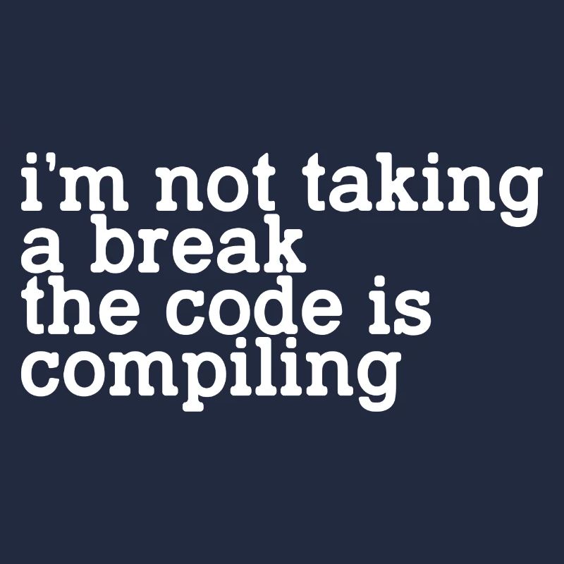 I'm Not Taking A Break, The Code Is Compiling