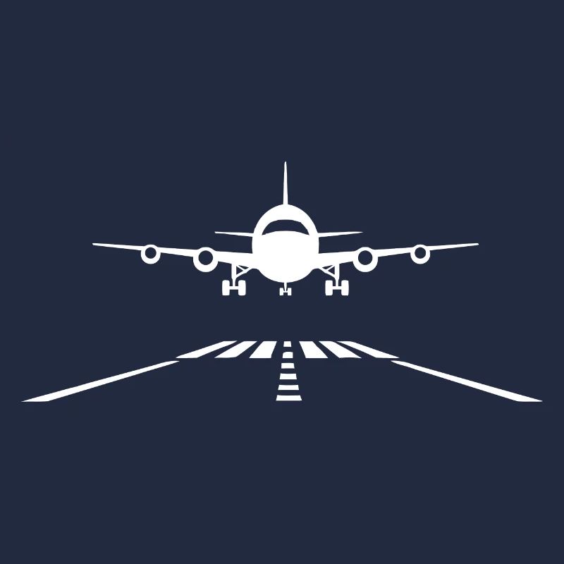 Flugzeug Landung Landebahn Flugpilot Pilot