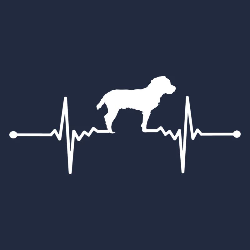 Jagdterrier - Deutscher Jagdterrier