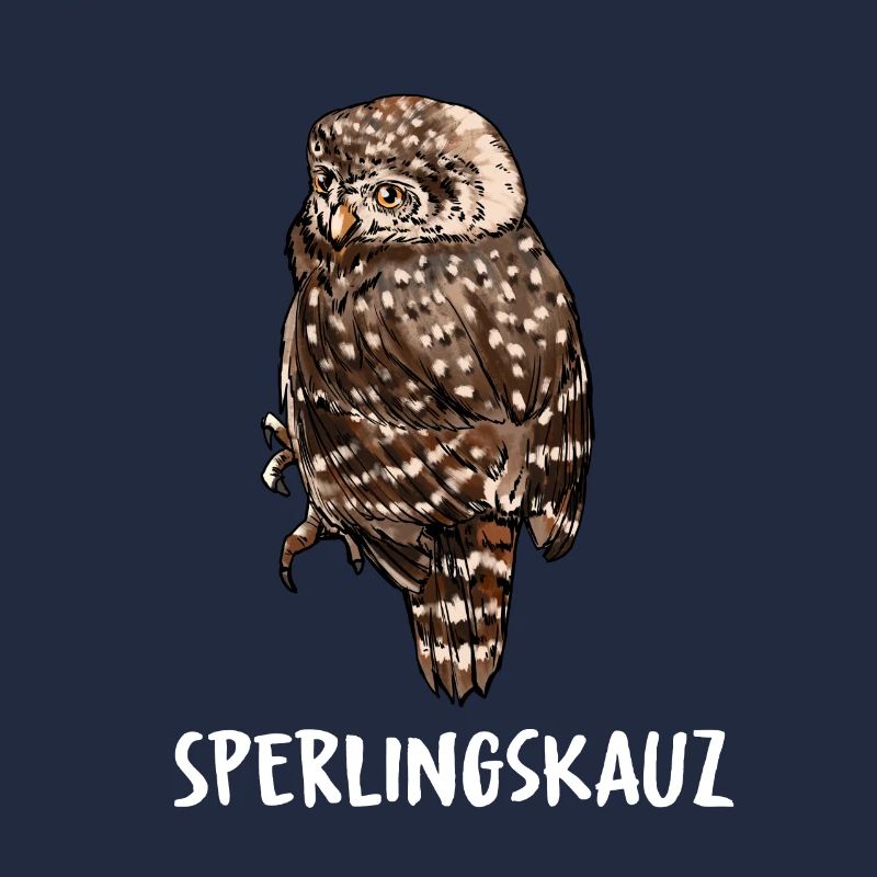 Sperlingskauz Eule Eulenart Eulen