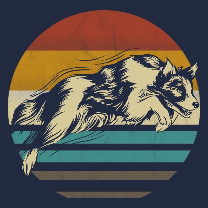 Border Collie chien chiot élevage Agility chien de compagnie