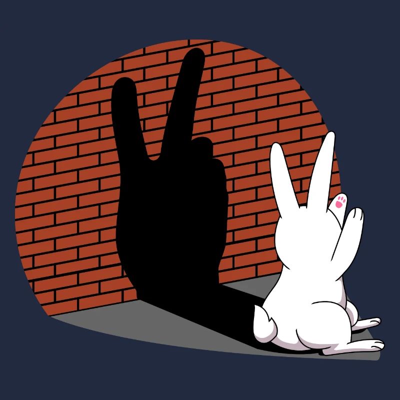 Rabbit Shadow Figure Shadow Image Shadow Play