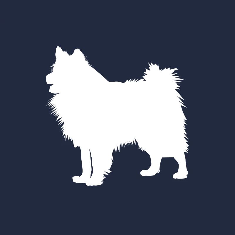 Wolfsspitz - Keeshond Dog