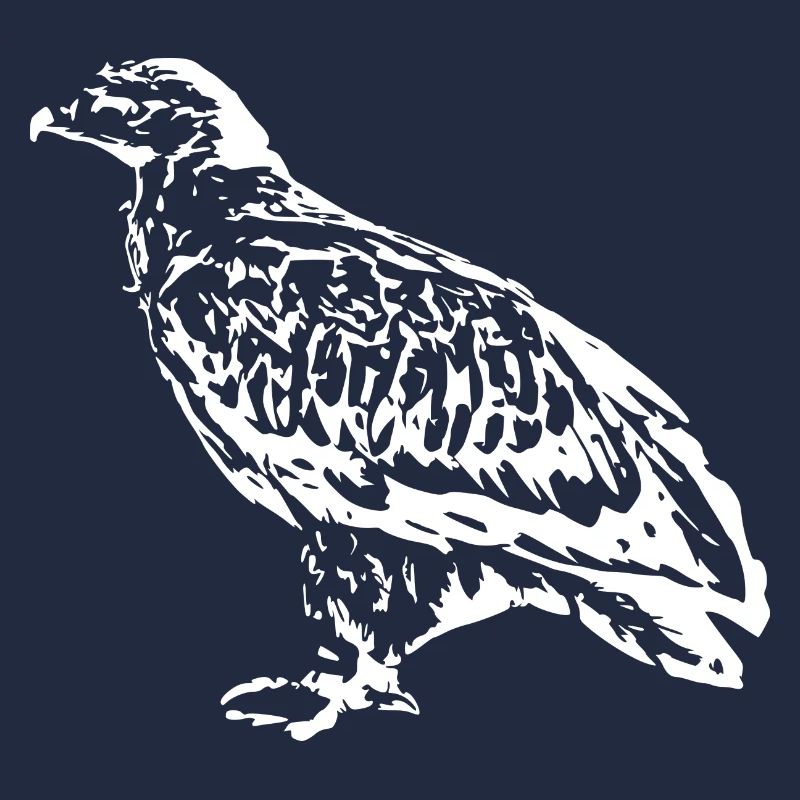 Faucons Oiseaux Oiseaux