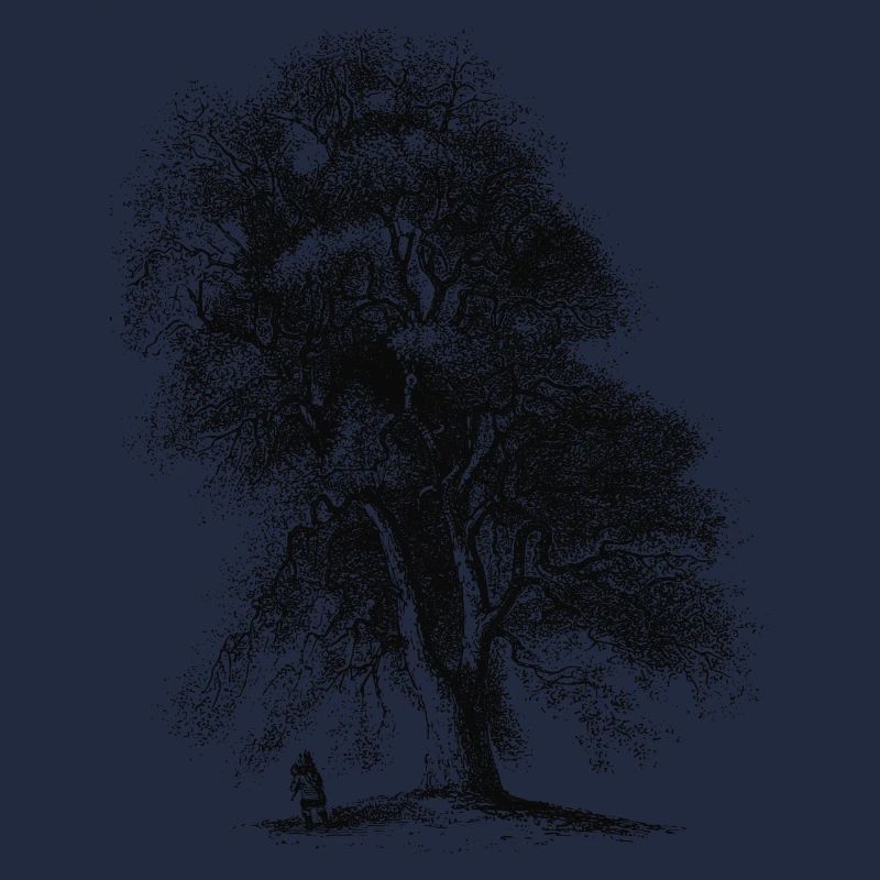 Baum-2-01