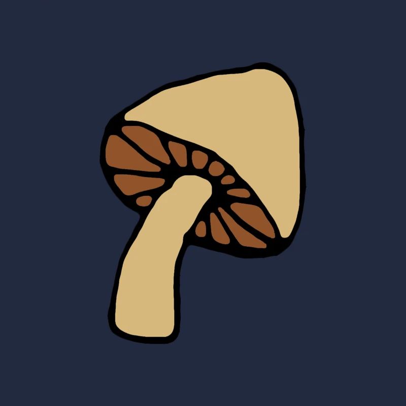 Pilz