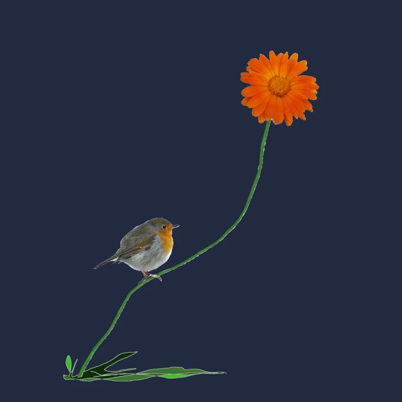 Robin avec fleur