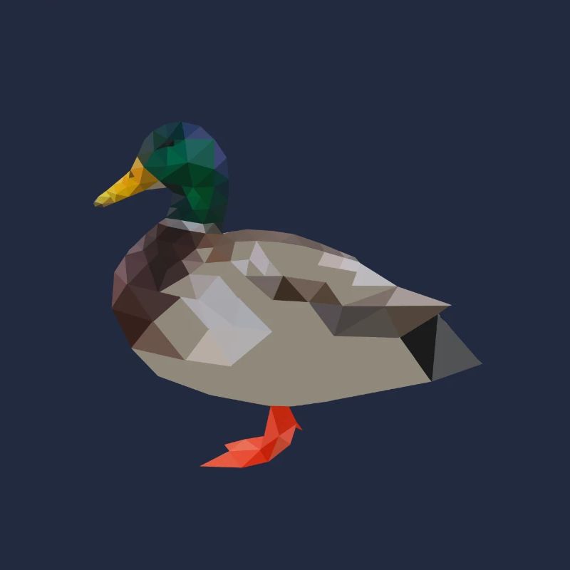 Canard, canard, polygones de canards géométriques