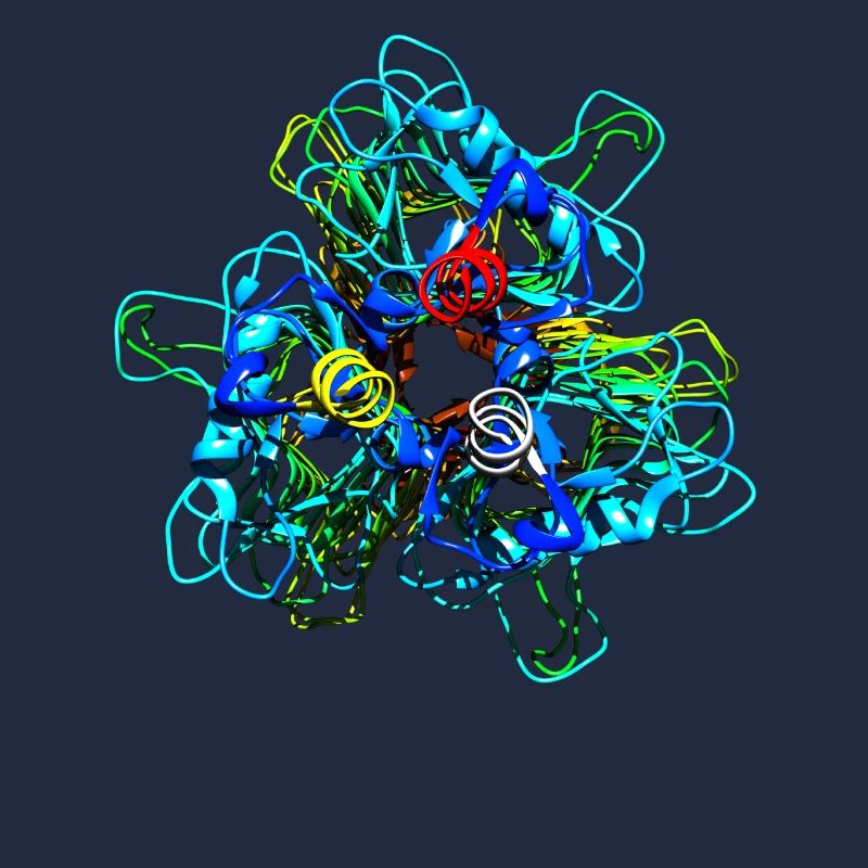 Natives Tailspike Protein Molekül Bakteriophage