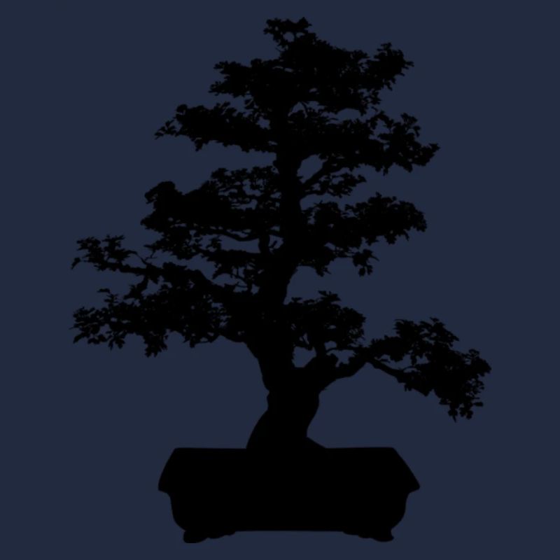 Bonsai