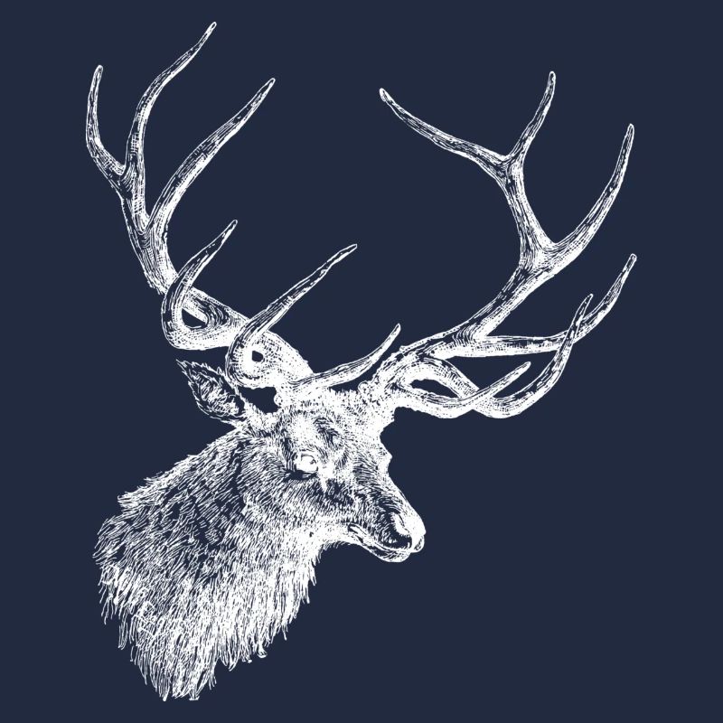 Deer Moose Antler Deer Head Hunter