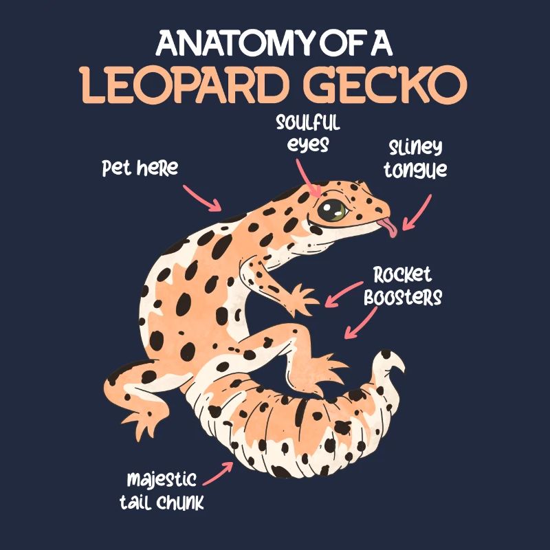 Terrarium Anatomie eines Gecko Echse Leopardgecko