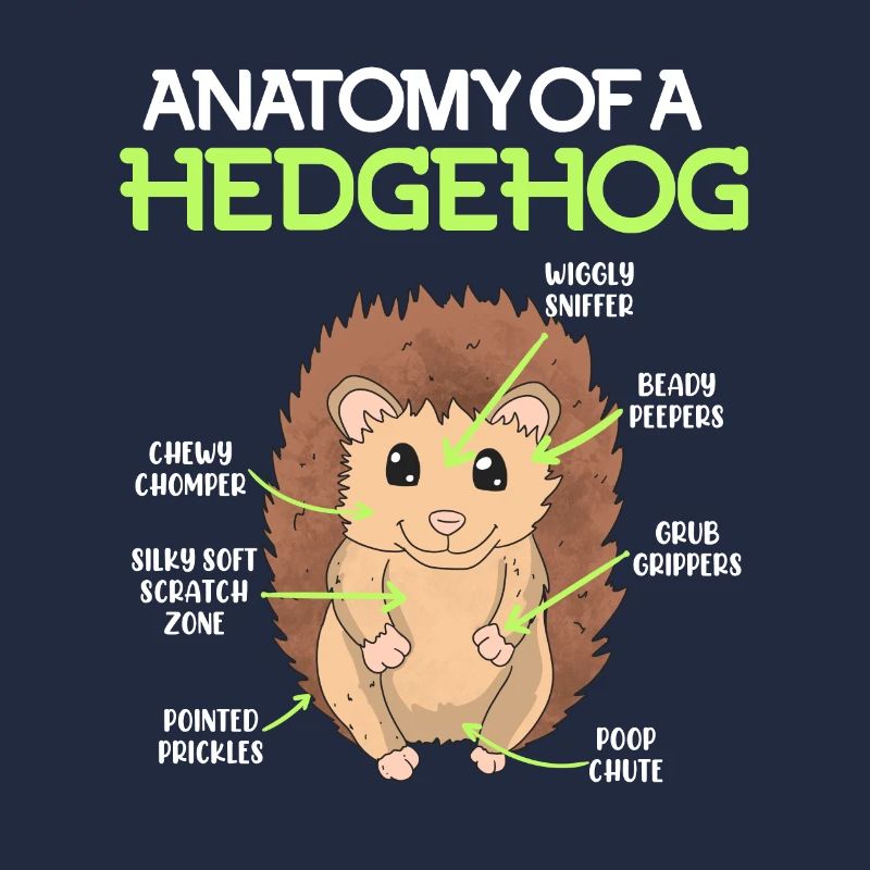 Anatomie d’un hérisson