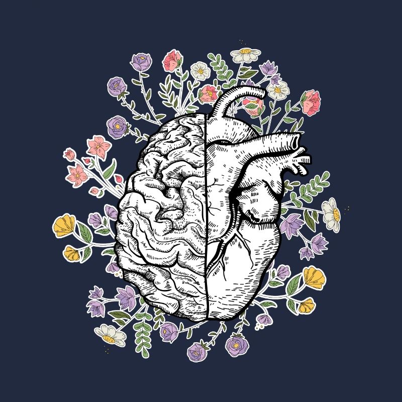 Testa e cuore Anatomia del cervello