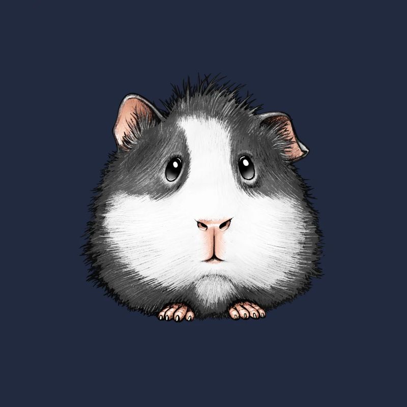 Cochon d’Inde doux Angora Coronet Rosette