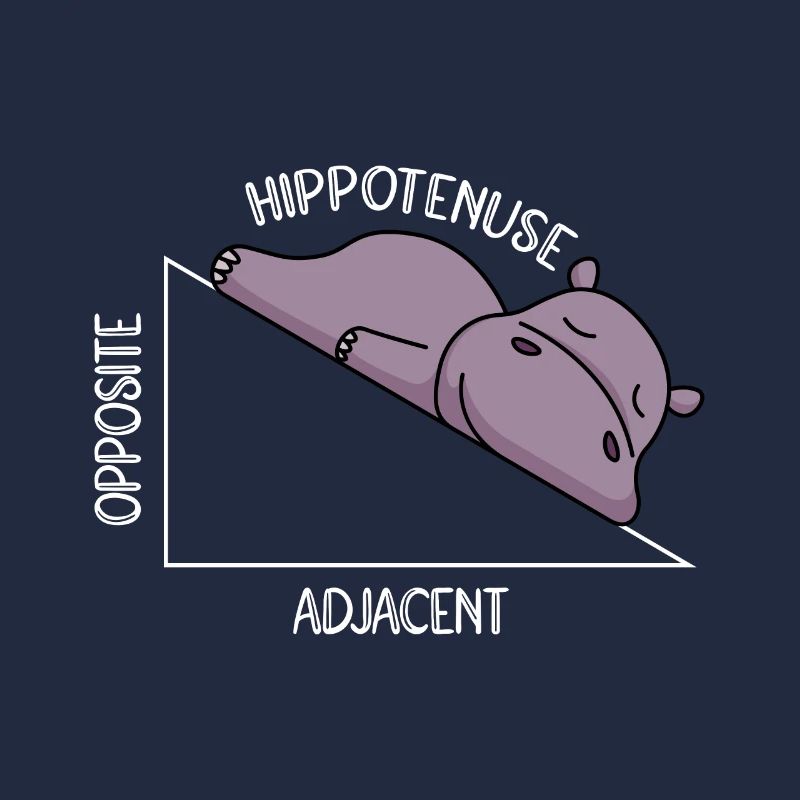 Algebra Math Student Math Teacher Hippotenuse