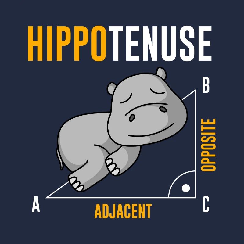 Nieldpferd Hippo Hippotenuse Algebra Math Teacher
