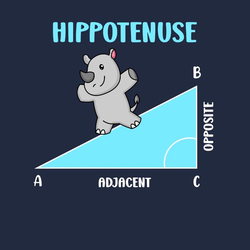 Hippotenuse Professeur de mathématiques Mathématicien