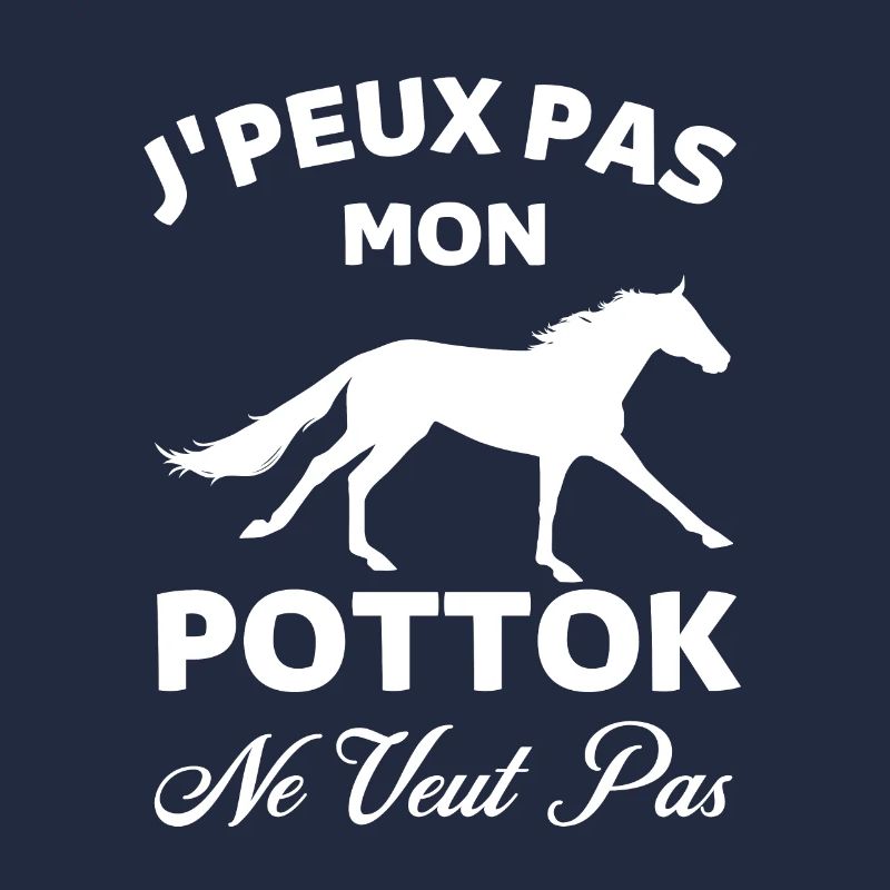 Cheval pottok 1