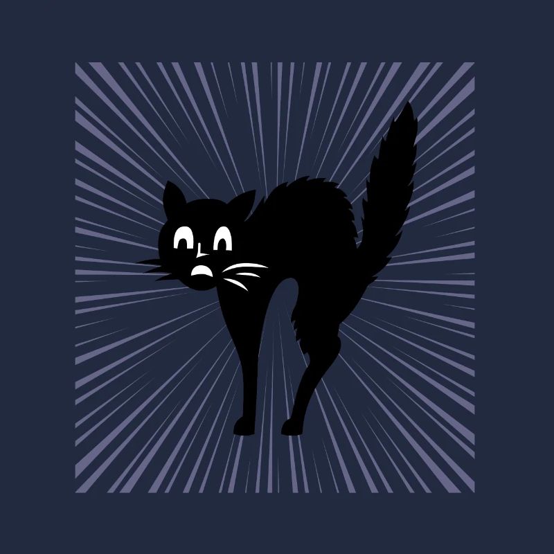 Black cat