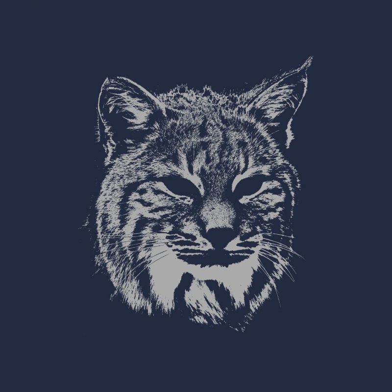 Lynx devil